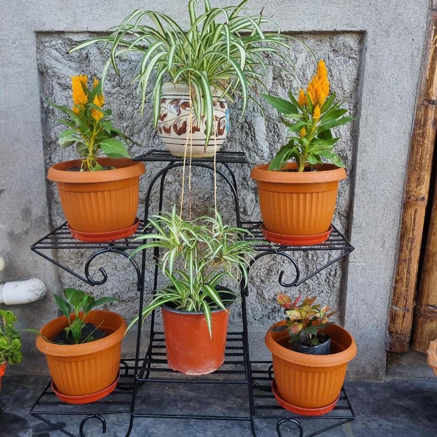 Alohi The Terrace Homestay Tezpur Bagian luar foto